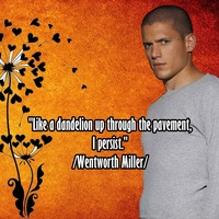Wentworth Miller photo edit 2