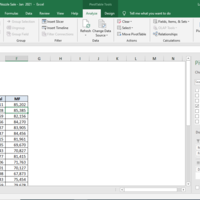 Pivot of sale report