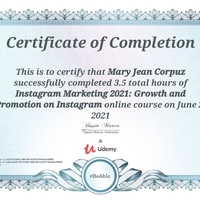 Instagram Marketing Certificate
