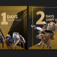 Portfolio Thumbnail 1