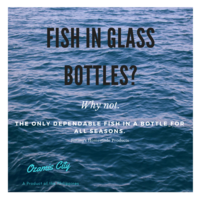 Canva, Social Media Post