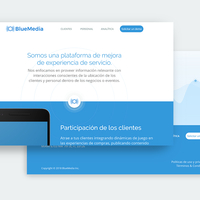 BlueMedia Landing Page