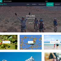 Blog Pro WP Theme, http://themepalace.com/downloads/blog-pro