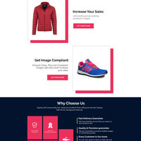 wordpress website