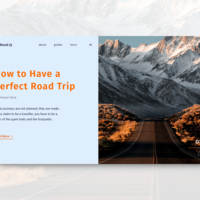 Travel Management Company Design Concept