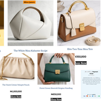 Full Luxury E-commerce Store Design & Payment Setup
