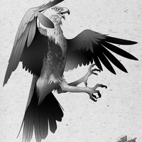 Portfolio Thumbnail 6