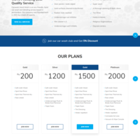Website customization