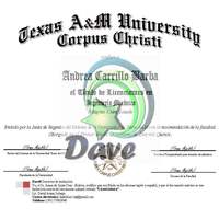 Degree Certificate Sample