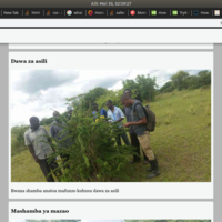 A company Website