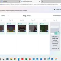 Meta Business Suite Scheduling
