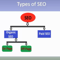 Type of SEO