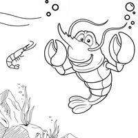 Portfolio Thumbnail 9