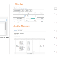 DynamicDataSummary_Shiny