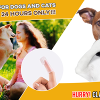 Portfolio Thumbnail 39