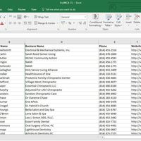 CSV Format/ Lead Generation