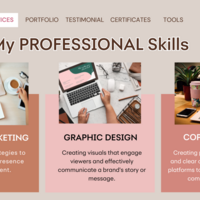 My Professional Skills