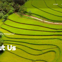 Wordpress_about us