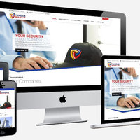 Custom WordPress Project - Design  Development