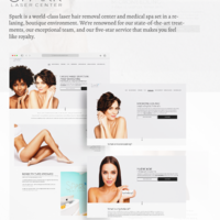 Wordpress website development