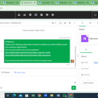 Customer service on Tawk software 