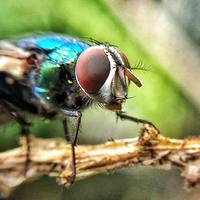 Portfolio Thumbnail 8