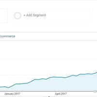 B2B Service Provider. Organic Traffic Progress