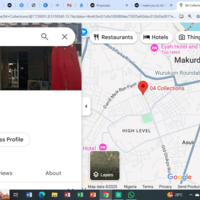 Google Business Profi Listinge