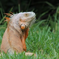 Portfolio Thumbnail 4