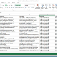 Portfolio Thumbnail 0