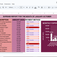 Expense Report & Data  Entry