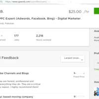 UpWork/Elance - Work History