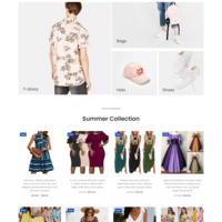 Dropshipping site built with WordsPress