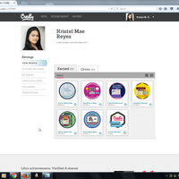 Here are the badges I earned from the past training