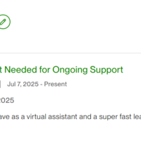Upwork Client Review