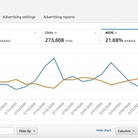 PPC-Campaign with low ACOS for the year2020
