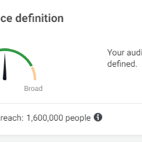 Facebook Audience Definition