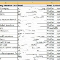 Qualified Lead Generation and formatt
