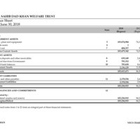 Annual Accounts of a NGO