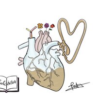 Portfolio Thumbnail 1