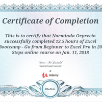 Excel Pro Certificate