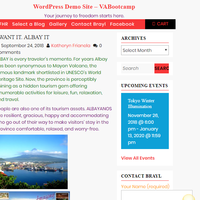 WordPress Management