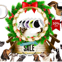 Portfolio Thumbnail 6