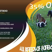 Web Banner ad