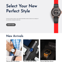 Shopify Landing Page; Pagefly