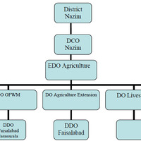 Flow charts/ organogramme