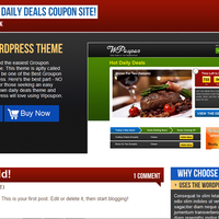 Portfolio Thumbnail 17