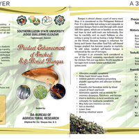 3-fold Brochure