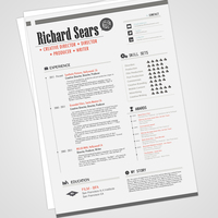 Infographic Resume Design