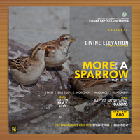 Branding for Divine Elevation conference 3